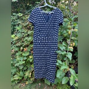 Banana Republic Dark Blue Polka Dot Apparel